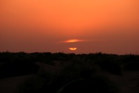 DSCF2561.JPG