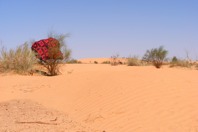 DSCF2670.JPG