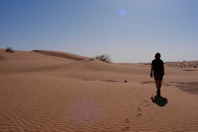 DSCF2681.JPG
