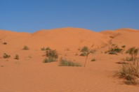 DSCF2682.JPG