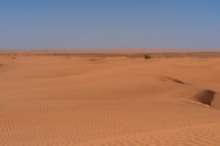 DSCF2689.JPG