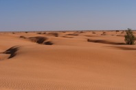DSCF2690.JPG