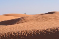 DSCF2703.JPG