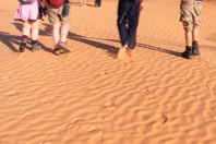 DSCF2712.JPG