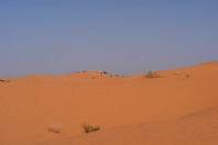 DSCF2750.JPG