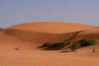DSCF2755.JPG