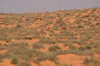 DSCF2798.JPG