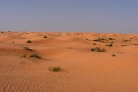 DSCF2799.JPG