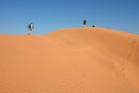 Sahara177.JPG